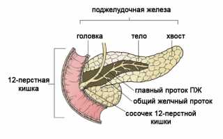 Как проверить поджелудочную железу на наличие или отсутствие заболеваний?