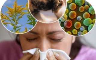 Современные способы диагностирования бронхиальной астмы