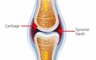 Где находится синовиальная жидкость и зачем она нужна человеку
