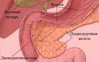 Состав и функции поджелудочного сока