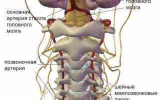 Правая позвоночная артерия: особенности строения и возможные патологии