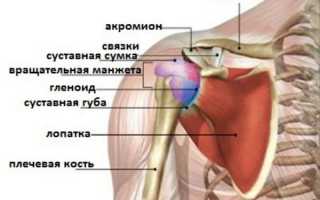 Как выполняют МРТ плечевого сустава