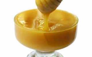 Как лечить гайморит медом дома?