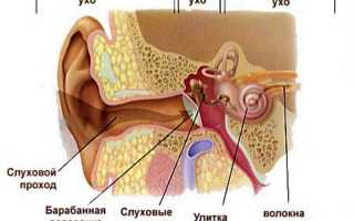Когда проходит шум в ухе при отите
