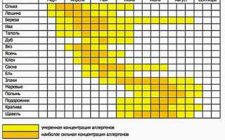 Сезонная аллергия при беременности: разбираемся в лечении и вредности