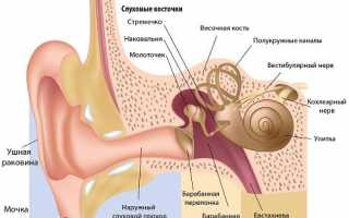 Как лечить отит уха у взрослых?