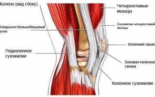 Сухожилия коленного сустава: анатомические особенности, виды заболеваний, их причины и методы лечения