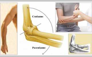 Топографическая анатомия локтевого сустава