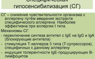 Аллерголог-иммунолог: путь к нему совсем недолог