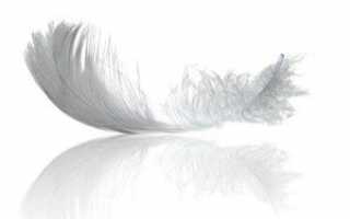 Аллергия на перо — коварство любимой подушки