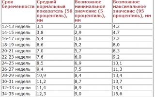 Какой длины должна быть носовая кость у плода в 12 недель?